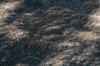 2017-08-21 Eclipse 132